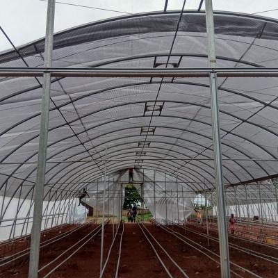 Jasey Farms Sunyani 102