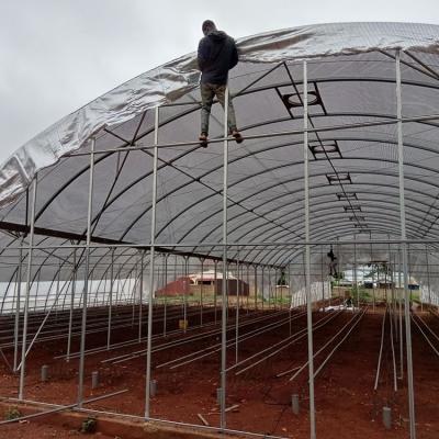 Jasey Farms Sunyani 106