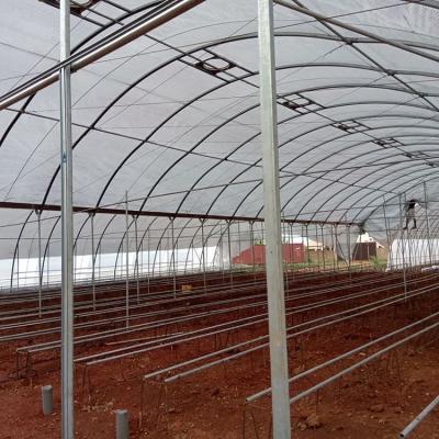 Jasey Farms Sunyani 108