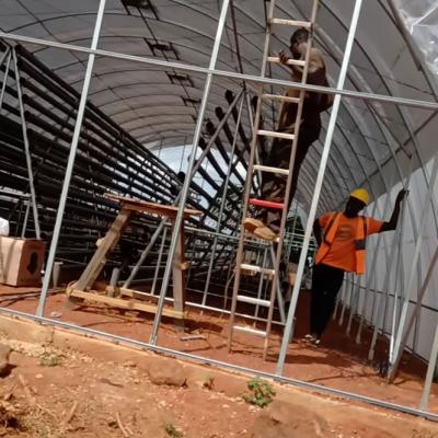 Jasey Farms Sunyani 124
