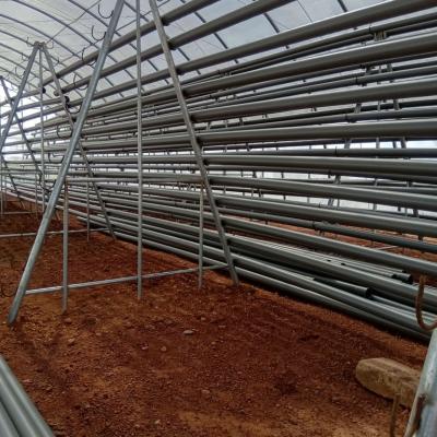 Jasey Farms Sunyani 125