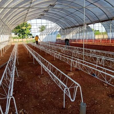 Jasey Farms Sunyani 12d