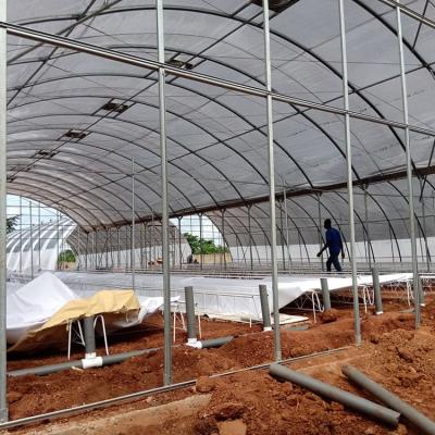 Jasey Farms Sunyani 141