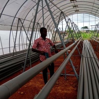 Jasey Farms Sunyani 143