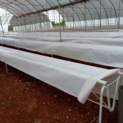 Jasey Farms Sunyani 154