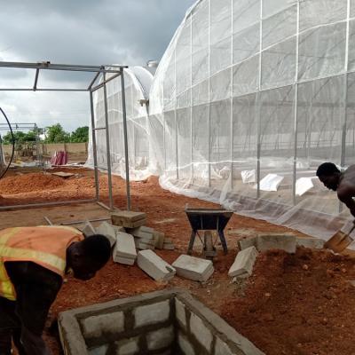 Jasey Farms Sunyani 179