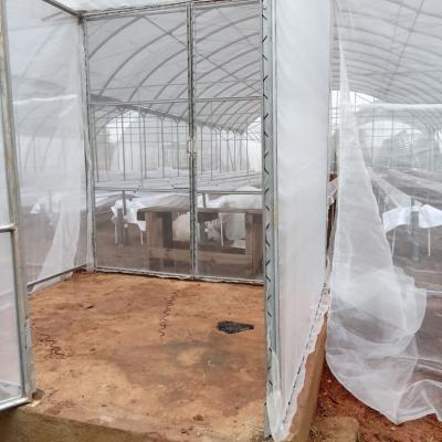 Jasey Farms Sunyani 196