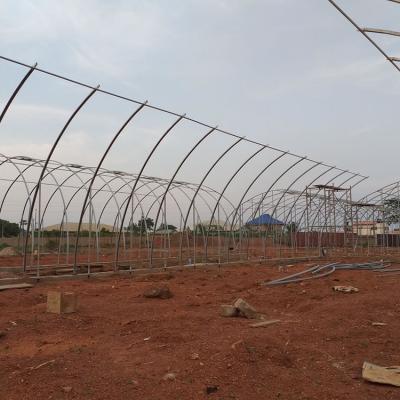Jasey Farms Sunyani 20a