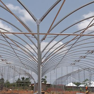 Jasey Farms Sunyani 251