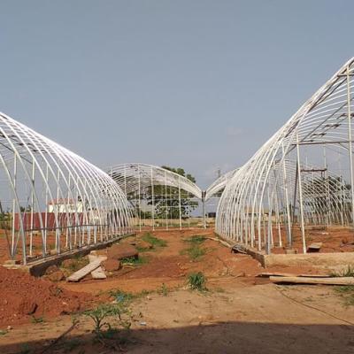 Jasey Farms Sunyani 28b