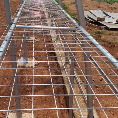 Jasey Farms Sunyani 295