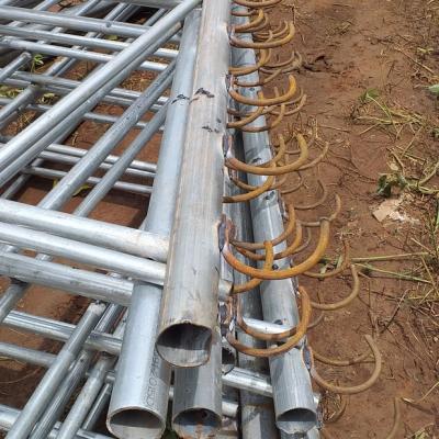 Jasey Farms Sunyani 2f2