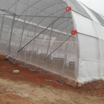 Jasey Farms Sunyani 680