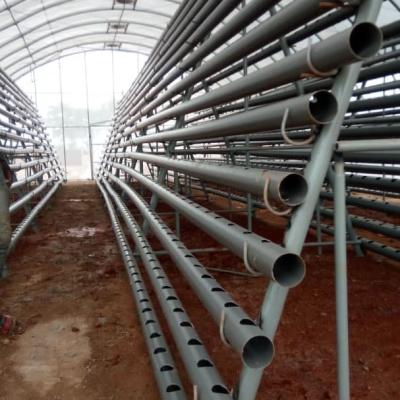 Jasey Farms Sunyani 68d