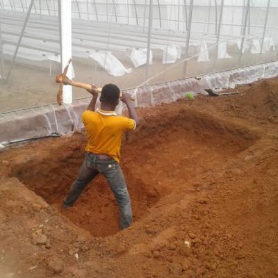 Jasey Farms Sunyani 68f