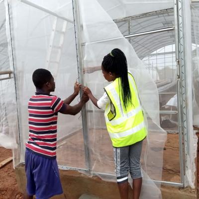 Jasey Farms, Sunyani, Ghana