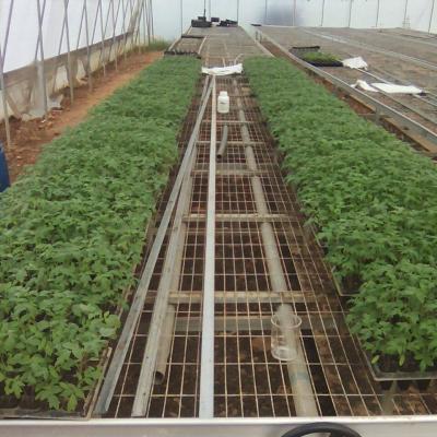 Flourish Farm 11