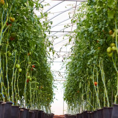Flourish Farm 17