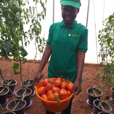 Flourish Farm 22