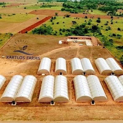 Kartlos Farm Ibadan Nigeria 00