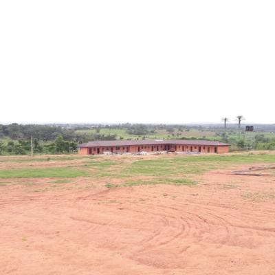 Kartlos Farm Ibadan Nigeria D1c