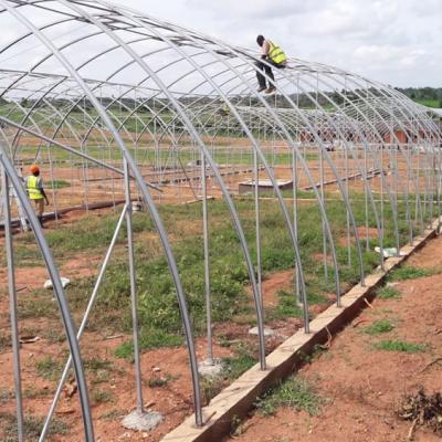 Kartlos Farm Ibadan Nigeria Dc7