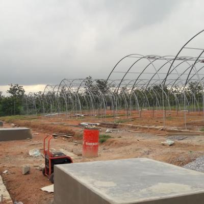 Kartlos Farm Ibadan Nigeria Dd8