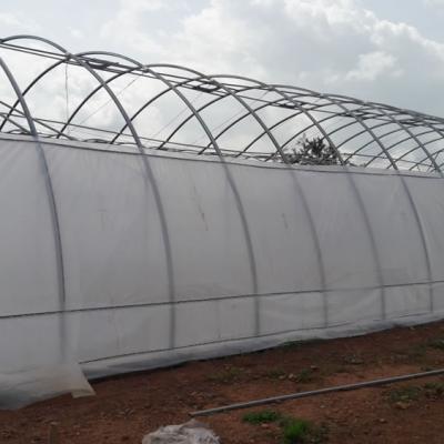 Kartlos Farm Ibadan Nigeria Deb