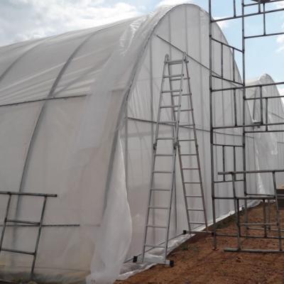 Kartlos Farm Ibadan Nigeria E00