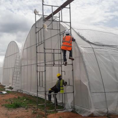 Kartlos Farm Ibadan Nigeria E36