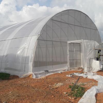 Kartlos Farm Ibadan Nigeria Ebd