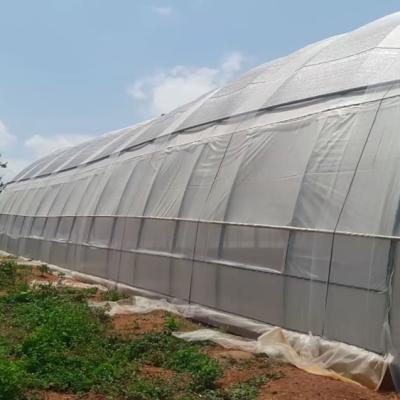 Kartlos Farm, Ibadan, Nigeria